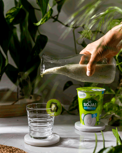 13c soja-de-kiwi-smoothie portrait